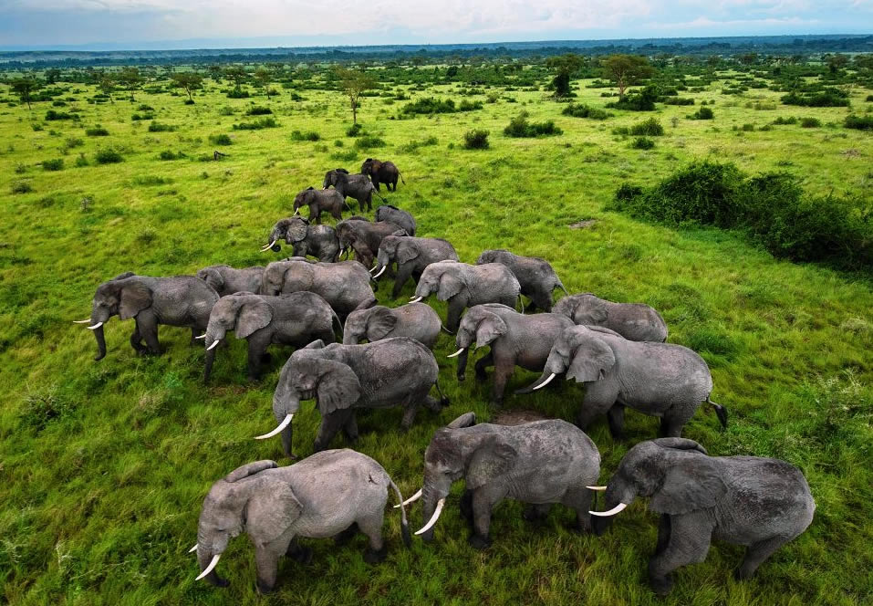 Queen Elizabeth National Park 3 Days 2 Nights Luxury Package – Safari Lodge