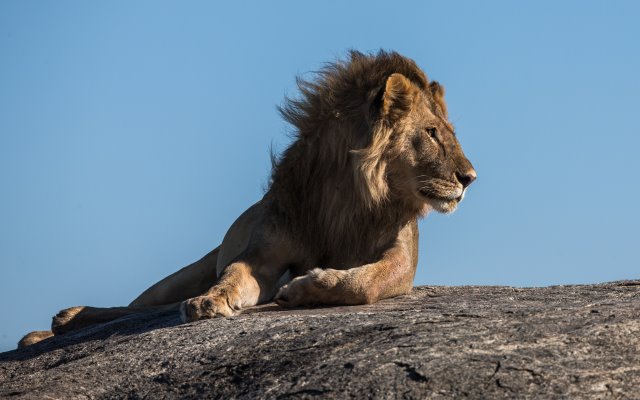 Amboseli National Park 6 Days 5 Nights Family Package – Eco Lodge