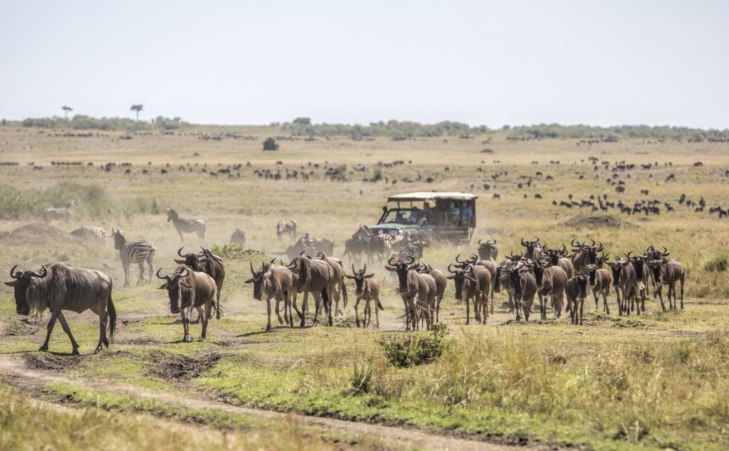 Maasai Mara 7 Days 6 Nights Honeymoon Package – Treehouse Resort
