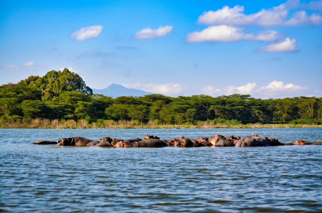Baringo & Bogoria 3 Days 2 Nights Luxury Package – Safari Lodge