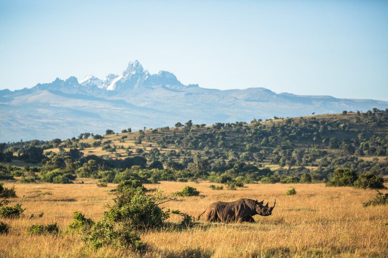 Mount Kenya 5 Days 4 Nights Adventure Package – Standard Lodge