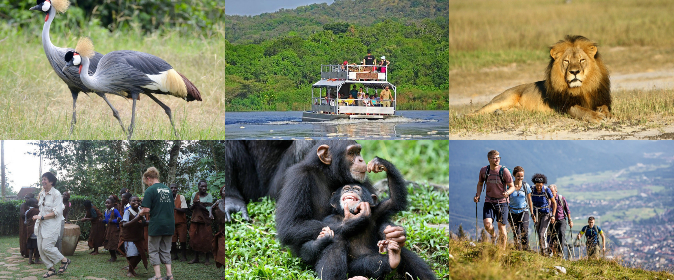 Queen Elizabeth National Park 5 Days 4 Nights Luxury Package – Safari Lodge