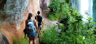 Sipi Falls 3 Days 2 Nights Honeymoon Package – Treehouse Resort