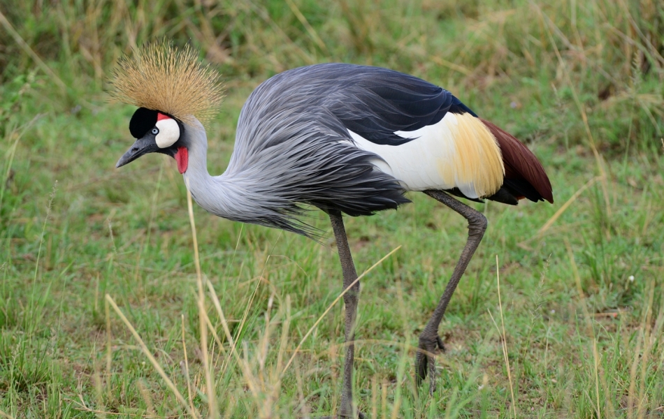 Ruma National Park 7 Days 6 Nights Adventure Package – Standard Lodge