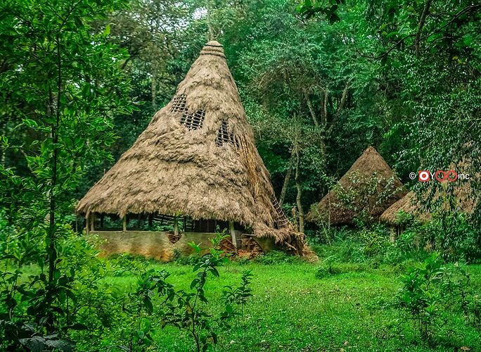 Arabuko-Sokoke Forest 2 Days 1 Night Safari Package – Luxury Tented Camp