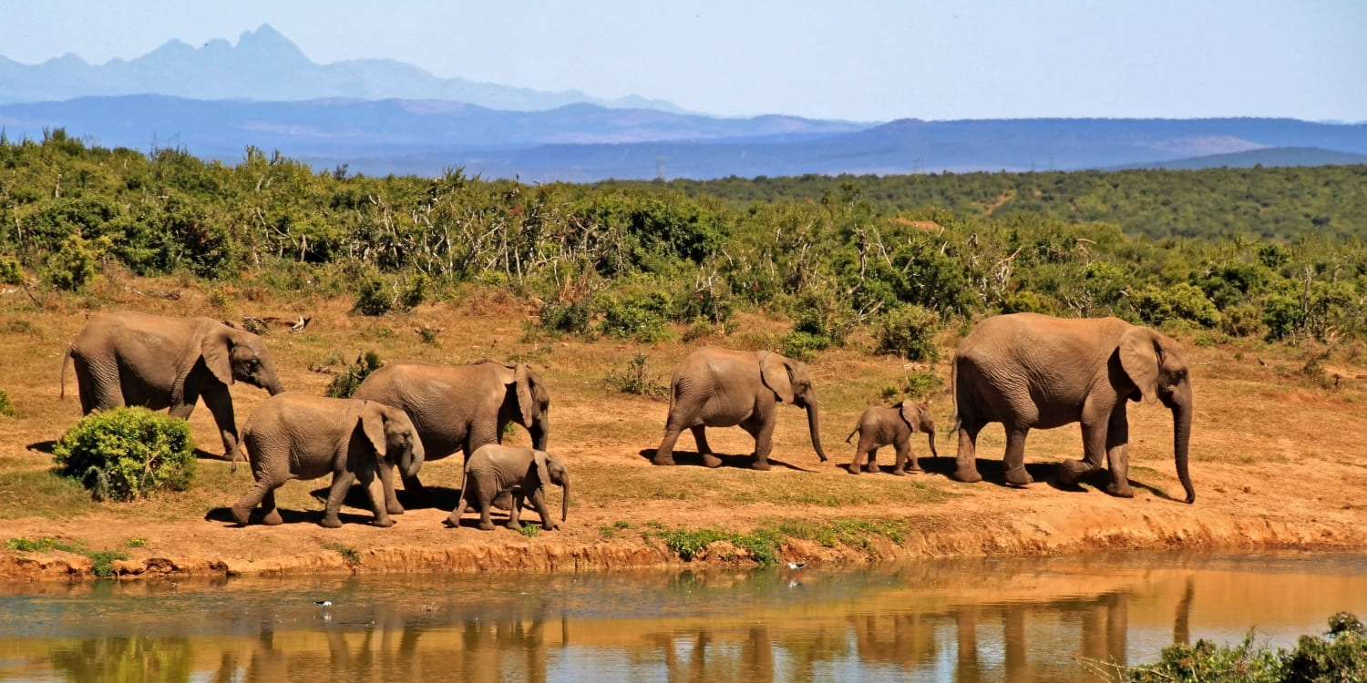 Marsabit National Park 5 Days 4 Nights Cultural & Heritage Package – 5-Star Beach Resort