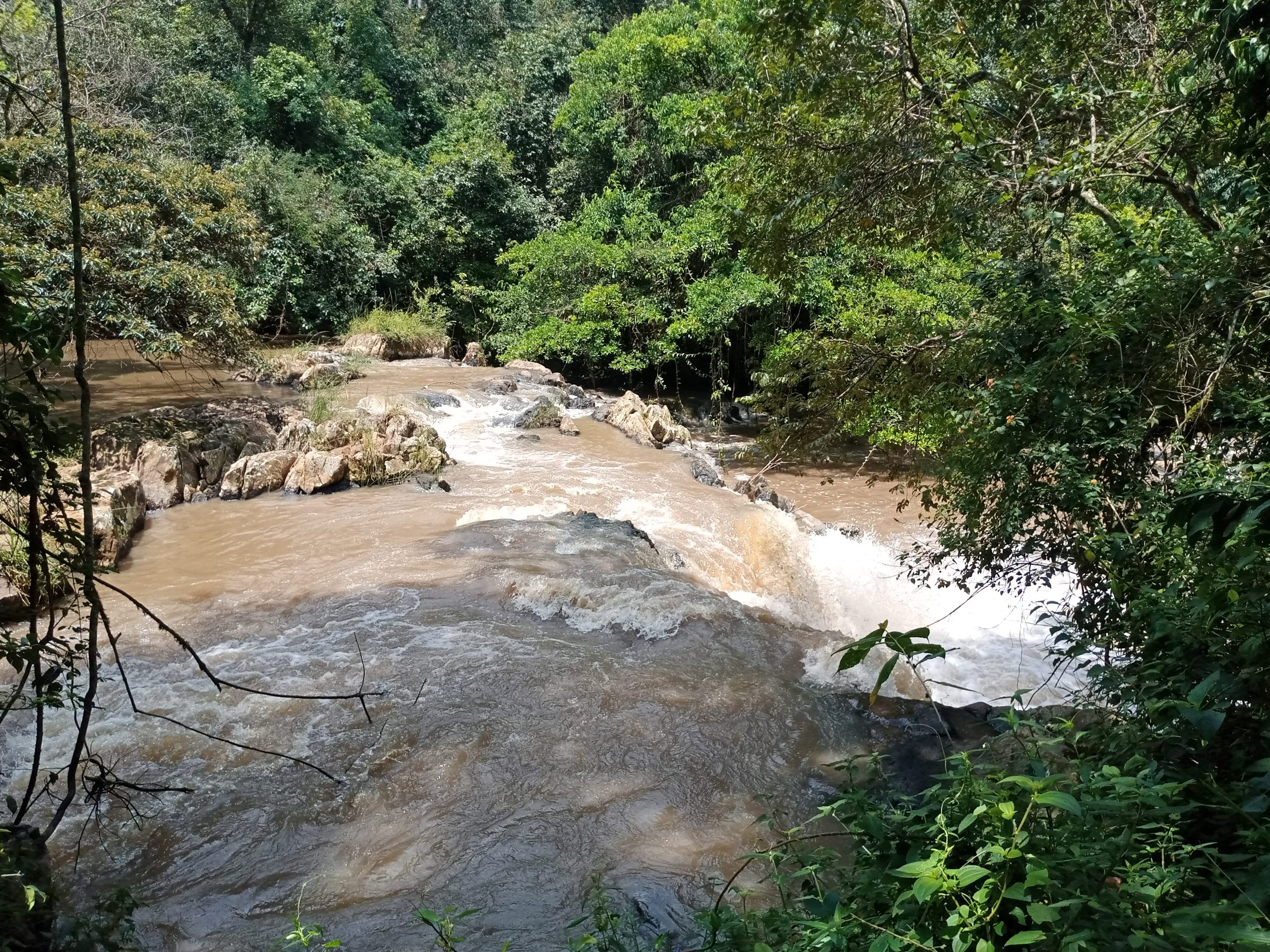 Kakamega Rainforest 6 Days 5 Nights Wildlife Package – Boutique Villa