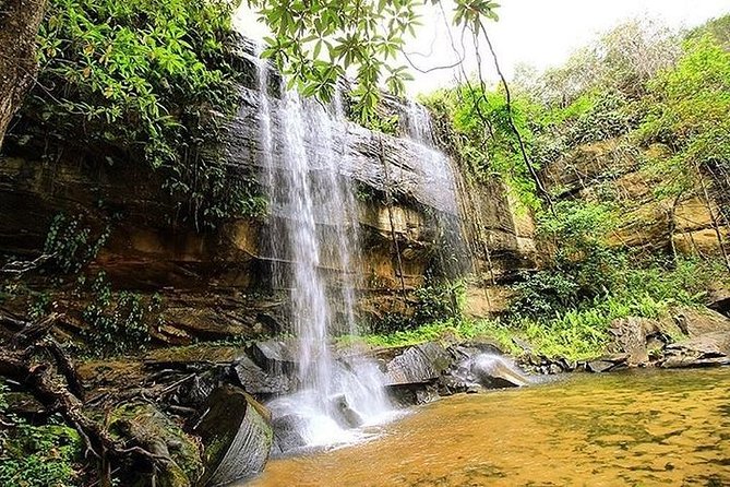 Shimba Hills 3 Days 2 Nights Beach & Coastal Package – Budget Camp