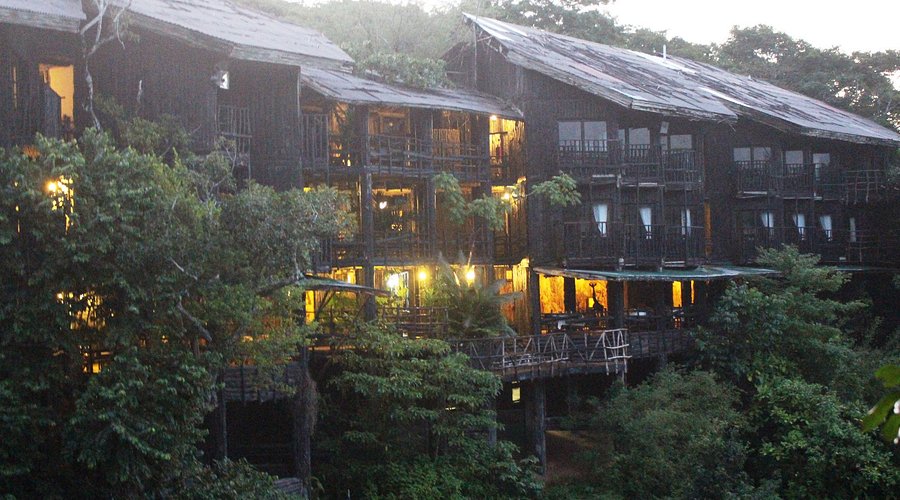 Shimba Hills 3 Days 2 Nights Beach & Coastal Package – Budget Camp