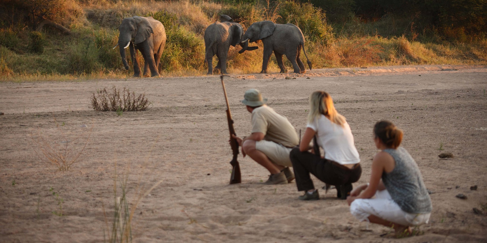 Ruaha National Park 3 Days 2 Nights Adventure Package – Standard Lodge