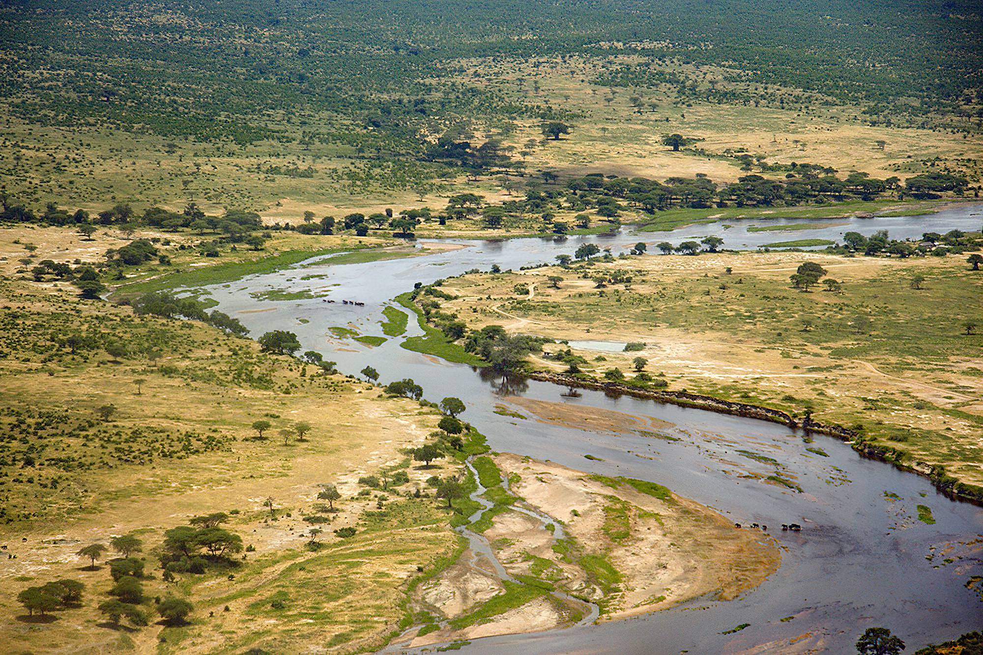 Ruaha National Park 3 Days 2 Nights Adventure Package – Standard Lodge