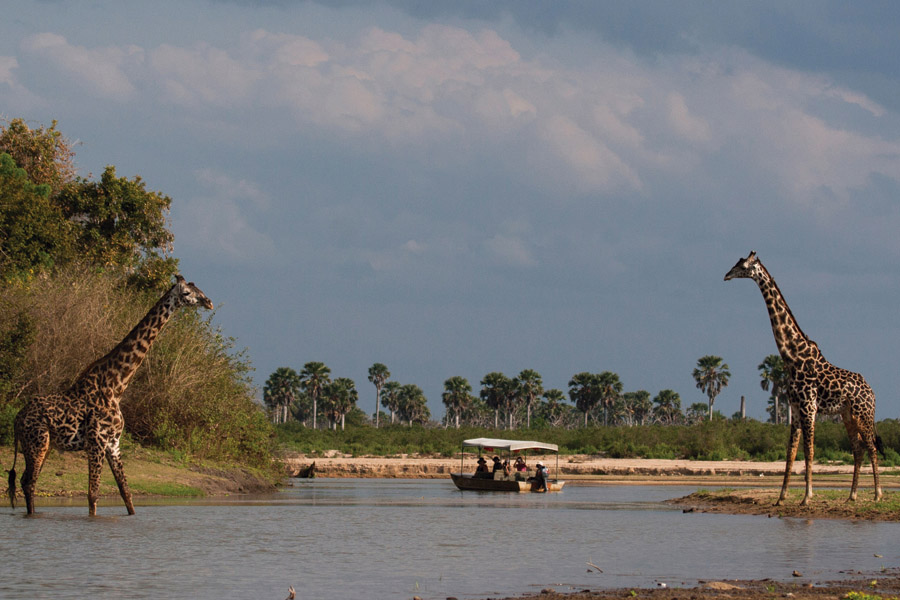 Selous Game Reserve 4 Days 3 Nights Family Package – Eco Lodge